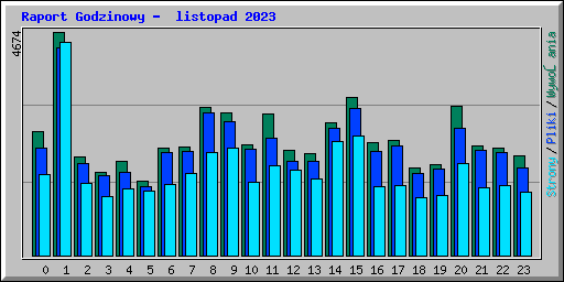 Raport Godzinowy -  listopad 2023