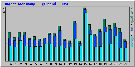 Raport Godzinowy -  grudzień 2023
