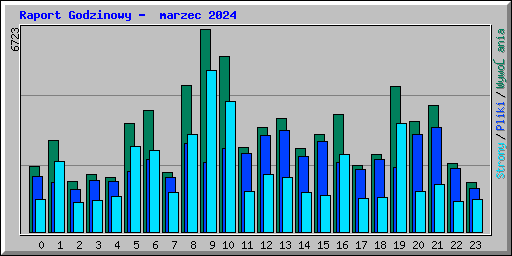 Raport Godzinowy -  marzec 2024