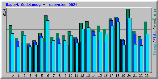 Raport Godzinowy -  czerwiec 2024
