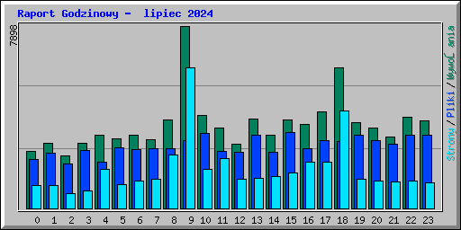 Raport Godzinowy -  lipiec 2024