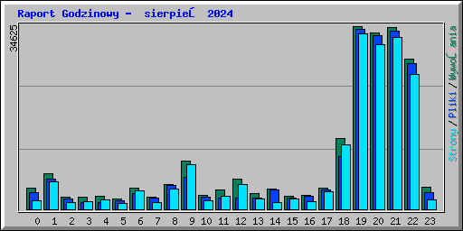 Raport Godzinowy -  sierpień 2024
