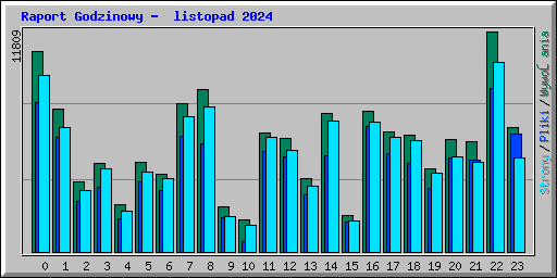Raport Godzinowy -  listopad 2024