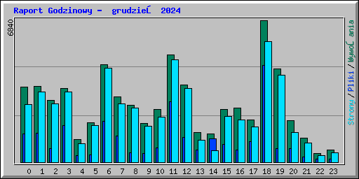 Raport Godzinowy -  grudzień 2024