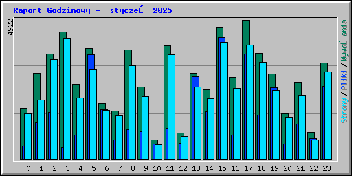 Raport Godzinowy -  styczeń 2025