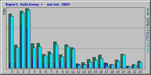 Raport Godzinowy -  marzec 2025