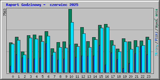 Raport Godzinowy -  czerwiec 2025