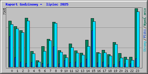 Raport Godzinowy -  lipiec 2025