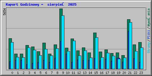 Raport Godzinowy -  sierpień 2025