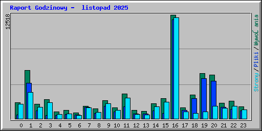 Raport Godzinowy -  listopad 2025
