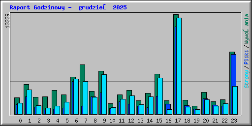 Raport Godzinowy -  grudzień 2025