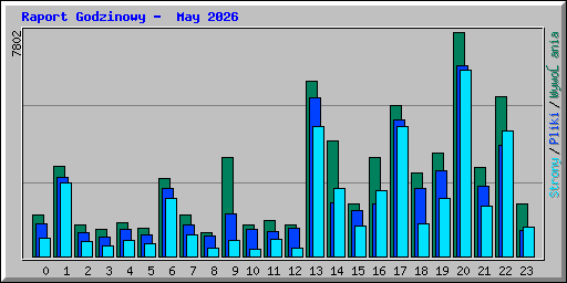 Raport Godzinowy -  May 2026