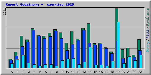 Raport Godzinowy -  czerwiec 2026